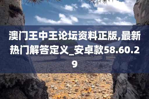 澳门王中王论坛资料正版,最新热门解答定义_安卓款58.60.29