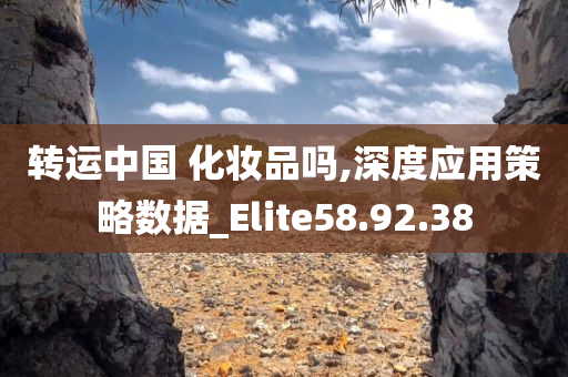 转运中国 化妆品吗,深度应用策略数据_Elite58.92.38