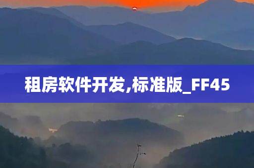 租房软件开发,标准版_FF45