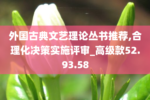 外国古典文艺理论丛书推荐,合理化决策实施评审_高级款52.93.58