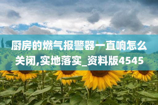 厨房的燃气报警器一直响怎么关闭,实地落实_资料版4545