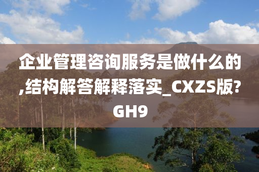 企业管理咨询服务是做什么的,结构解答解释落实_CXZS版?GH9