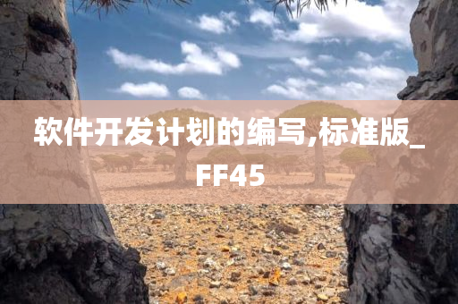 软件开发计划的编写,标准版_FF45