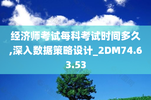 经济师考试每科考试时间多久,深入数据策略设计_2DM74.63.53