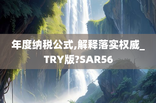 年度纳税公式,解释落实权威_TRY版?SAR56