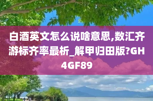 白酒英文怎么说啥意思,数汇齐游标齐率最析_解甲归田版?GH4GF89