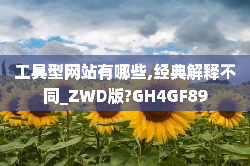 工具型网站有哪些,经典解释不同_ZWD版?GH4GF89