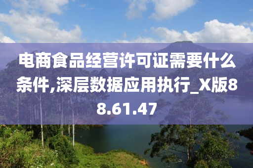 电商食品经营许可证需要什么条件,深层数据应用执行_X版88.61.47