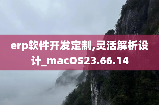 erp软件开发定制,灵活解析设计_macOS23.66.14