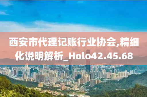 西安市代理记账行业协会,精细化说明解析_Holo42.45.68