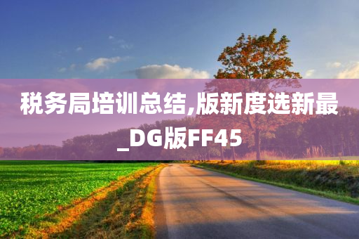 税务局培训总结,版新度选新最_DG版FF45