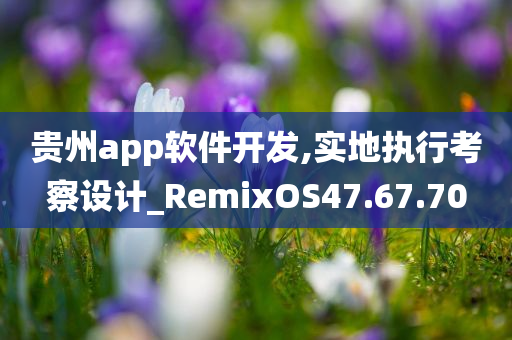 贵州app软件开发,实地执行考察设计_RemixOS47.67.70