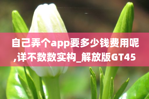 自己弄个app要多少钱费用呢,详不数数实构_解放版GT45