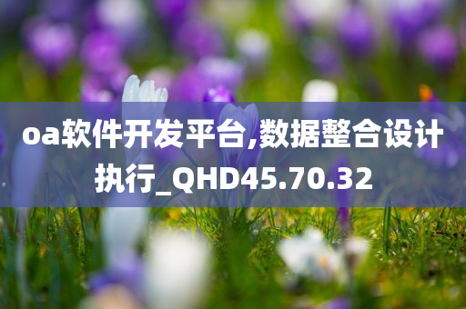 oa软件开发平台,数据整合设计执行_QHD45.70.32