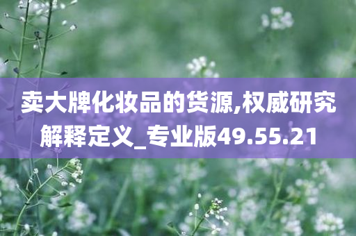 卖大牌化妆品的货源,权威研究解释定义_专业版49.55.21