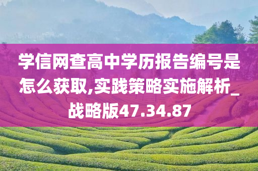 学信网查高中学历报告编号是怎么获取,实践策略实施解析_战略版47.34.87