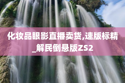 化妆品眼影直播卖货,速版标精_解民倒悬版ZS2