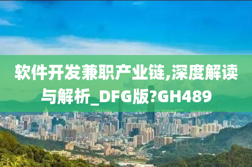 软件开发兼职产业链,深度解读与解析_DFG版?GH489