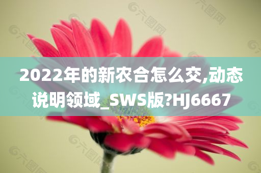 2022年的新农合怎么交,动态说明领域_SWS版?HJ6667