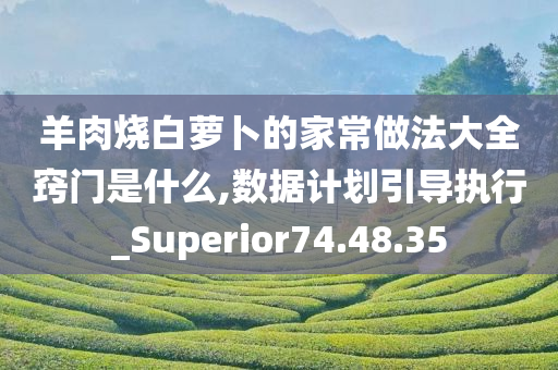 羊肉烧白萝卜的家常做法大全窍门是什么,数据计划引导执行_Superior74.48.35