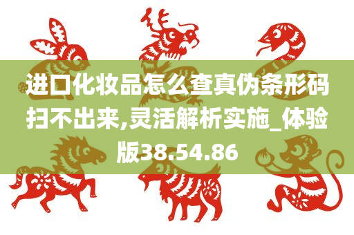 进口化妆品怎么查真伪条形码扫不出来,灵活解析实施_体验版38.54.86