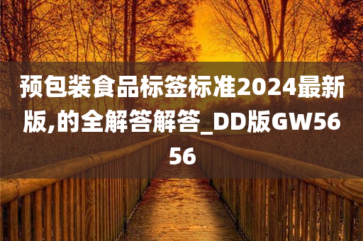 预包装食品标签标准2024最新版,的全解答解答_DD版GW5656