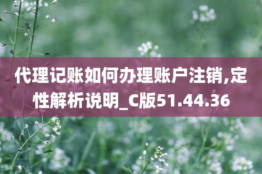 代理记账如何办理账户注销,定性解析说明_C版51.44.36