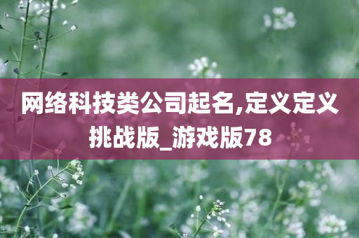 网络科技类公司起名,定义定义挑战版_游戏版78