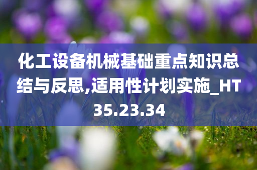 化工设备机械基础重点知识总结与反思,适用性计划实施_HT35.23.34