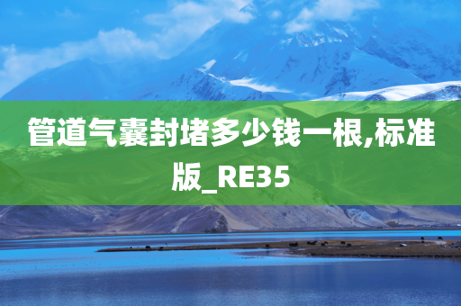 管道气囊封堵多少钱一根,标准版_RE35