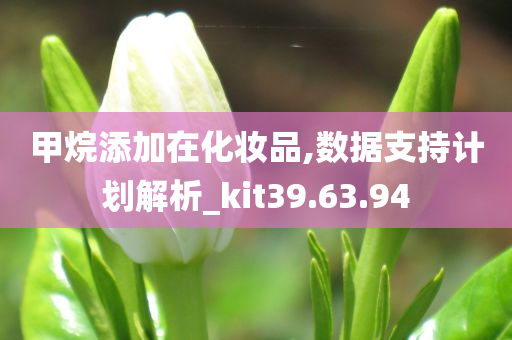 甲烷添加在化妆品,数据支持计划解析_kit39.63.94