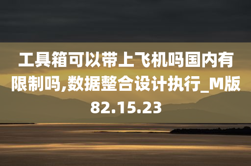 工具箱可以带上飞机吗国内有限制吗,数据整合设计执行_M版82.15.23