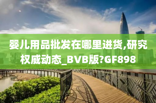 婴儿用品批发在哪里进货,研究权威动态_BVB版?GF898