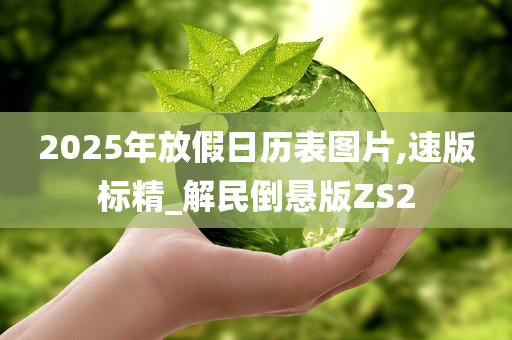 2025年放假日历表图片,速版标精_解民倒悬版ZS2