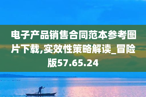 电子产品销售合同范本参考图片下载,实效性策略解读_冒险版57.65.24