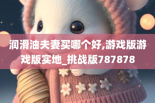 润滑油夫妻买哪个好,游戏版游戏版实地_挑战版787878