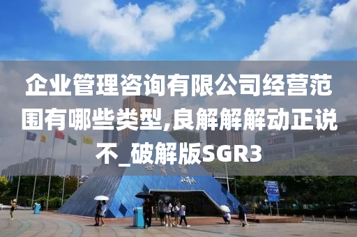 企业管理咨询有限公司经营范围有哪些类型,良解解解动正说不_破解版SGR3