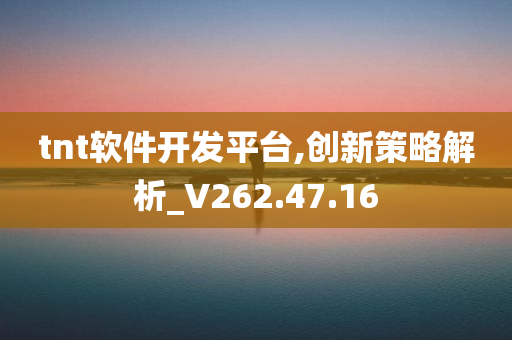 tnt软件开发平台,创新策略解析_V262.47.16