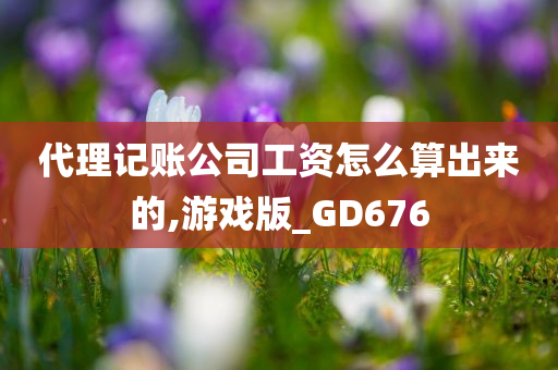 代理记账公司工资怎么算出来的,游戏版_GD676