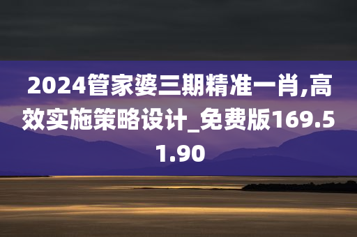 2024管家婆三期精准一肖,高效实施策略设计_免费版169.51.90