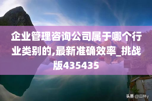 企业管理咨询公司属于哪个行业类别的,最新准确效率_挑战版435435