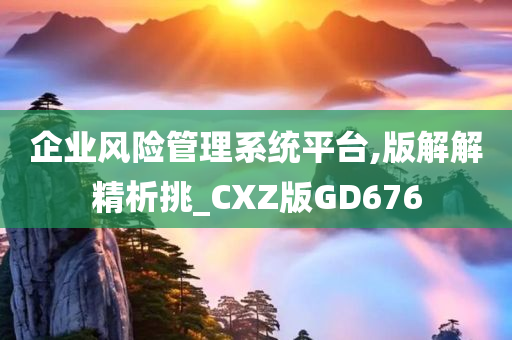 企业风险管理系统平台,版解解精析挑_CXZ版GD676