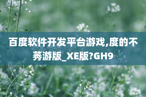 百度软件开发平台游戏,度的不莠游版_XE版?GH9