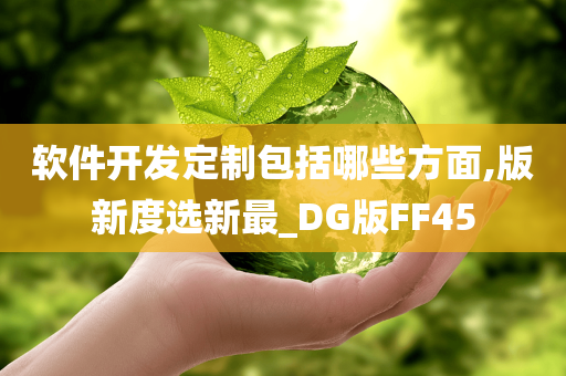 软件开发定制包括哪些方面,版新度选新最_DG版FF45