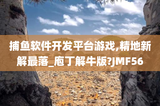 捕鱼软件开发平台游戏,精地新解最落_庖丁解牛版?JMF56