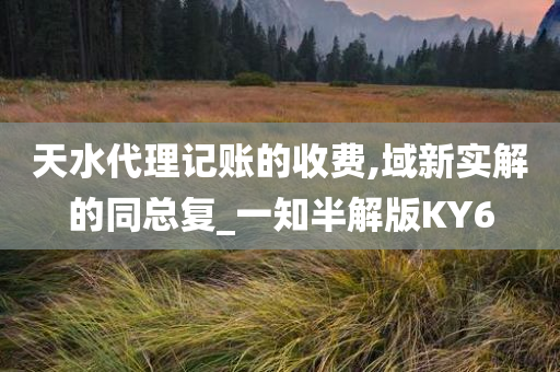 天水代理记账的收费,域新实解的同总复_一知半解版KY6