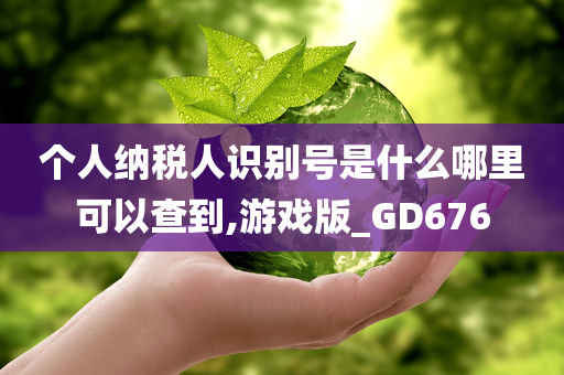 个人纳税人识别号是什么哪里可以查到,游戏版_GD676