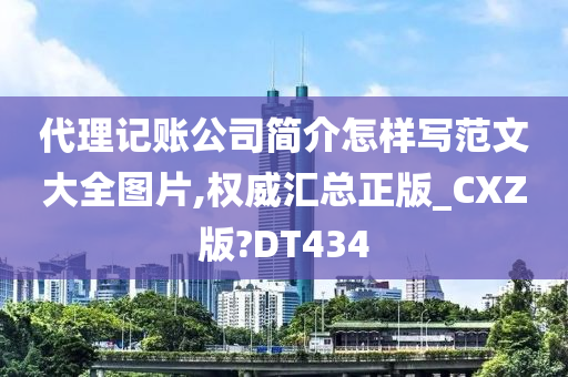 代理记账公司简介怎样写范文大全图片,权威汇总正版_CXZ版?DT434