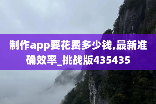 制作app要花费多少钱,最新准确效率_挑战版435435