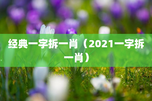 经典一字拆一肖（2021一字拆一肖）